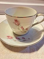 Cup on saucer showing rosebud design and silver trim