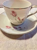 Teacup on saucer showing rosebud pattern and silver trim