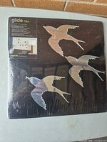 Front view of sealed box showing three sample bird mirrors and branding