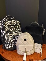 Group shot of all backpacks and accessories