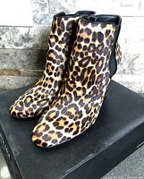Front view of both leopard print ankle boots on box