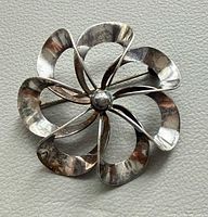 Front view showing eight open petals and central dome