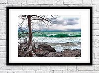 Framed photograph showcasing icy branches, rocky shoreline, and Lake Ontario waves under a cloudy sky.