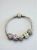 Overall view of bracelet showing snake chain, clasp and five charms