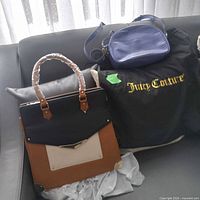 Overall view showing both handbags and dust bag