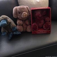 All three stuffed animals on sofa: boxed teddy bear, pig, platypus