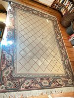 Full view of rug showing pattern, fringe, and overall wear