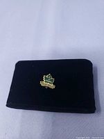 Front view of maple leaf service pin in display box