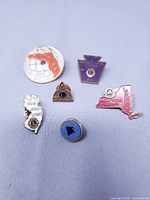 Front view of all six Lions Club pins