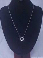 Full view of necklace on display bust showing chain length and pendant placement