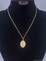 Full view of necklace on display bust showing chain and pendant.