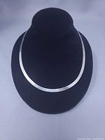 Full view of necklace on display form