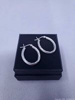 Pair of oval twisted sterling silver hoop earrings on black box, full view