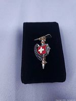 Front view of Swiss enamel pickaxe and shield pin