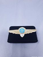Front view of Aeroflot pilot wings pin on display pad