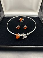 Choker, earrings and presentation box overview