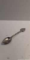 Entire spoon front view