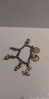 Full view of bracelet showing chain, character charms and medallions