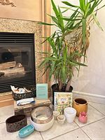 Full lot showing Yucca, pots, basket, seeds, book, soil