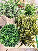 Group shot showing boxwood ball, white ceramic eucalyptus, black-potted grasses and marble-planter grass
