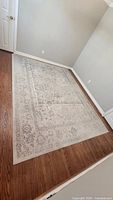 Full view of ivory/silver Safavieh Adirondack rug on hardwood floor