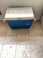 Front view of blue Igloo cooler with white lid and handles
