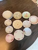 Group view of all saucers arranged on table