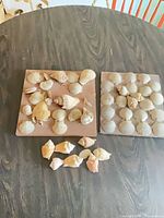 two square panels with mounted shells and loose shells on table