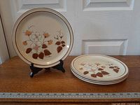 Four floral stoneware dinner plates, one on stand showing design