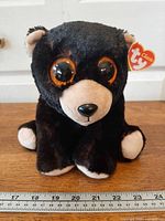 Front view of Ty Kodi black bear plush with ruler for scale