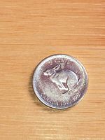 Reverse of Canadian 5-cent coin showing rabbit design on wood surface