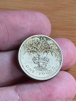 Reverse side of coin showing Welsh leek in coronet and ONE POUND legend
