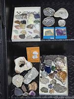 Overview of entire collection on two shelves