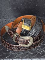 Two reptile leather belts coiled, one brown with silver hardware, one black with gold-tone buckle
