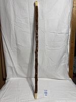 Full view of hickory walking cane showing length, bone handle and tip