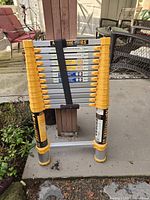 Ladder folded showing brand label, rung locks, strap