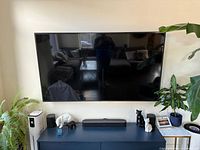 Front view of wall-mounted LG 75-inch TV above cabinet with plants