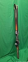 Full view of paired Dynastar skis standing upright showing graphics and length