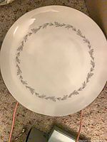 Close view of dinner plate pattern detail