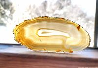 Front lit view highlighting banded pattern and translucency