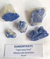 Five blue-and-white dumortierite specimens with label