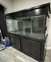 Front view of aquarium with stand and canopy