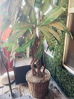 Full view of artificial tree in wicker planter