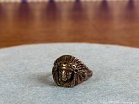 Front view showing Indigenous Chief design