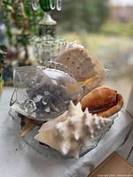 Overall lot showing glass fish bowl filled with feathers and multiple large seashells