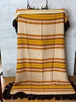 Full view of striped throw blanket displayed vertically showing complete pattern and fringe