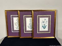 Three framed floral prints upright for full lot view