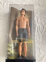Front of boxed Jacob Black Barbie Collector Pink Label doll