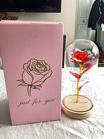 Glass dome rose light and pink box