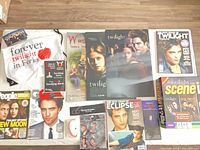 Full layout of magazines, posters, bag, game, magnets and postcards